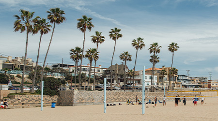 Palm trees and the Manhattan Beach Pier.